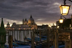 Venice City Tours