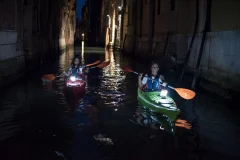 Venice Kayak Tours