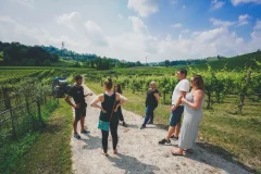 Verona Day Trips from Venice