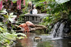 Victoria Butterfly Gardens