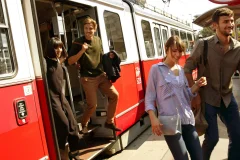 Vienna City Cards