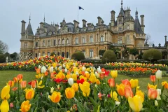 Waddesdon Manor