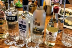Warsaw Pub Tours