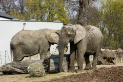 Warsaw Zoo Park