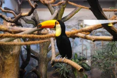Warsaw Zoo Park