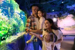 Warsaw Zoo Park