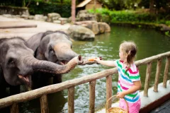 Warsaw Zoo Park