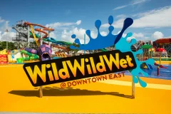 Wild Wild Wet