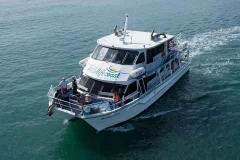 Wildlife Coast Cruises