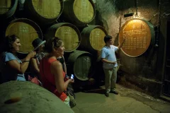 Wine Day Trips from Lisbon