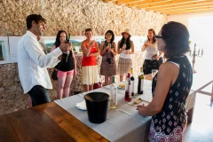 Wine Day Trips from Lisbon