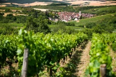 Wine Days Trips from Paris