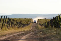 Wine Tours from Madrid