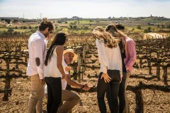 Wine Tours from Madrid