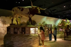 Witte Museum