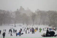 Wollman Rink