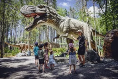 Woodooliparc