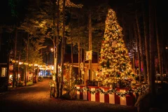 Woodooliparc