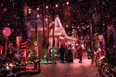 Woodooliparc