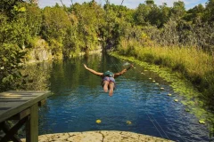Xenotes Oasis Maya