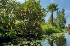 Xochimilco