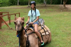 Yaaman Adventure Park