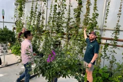 Yarra Valley Day Trips from Melbourne