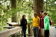 Ziptrek Ecotours