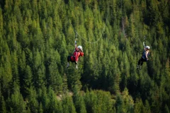 Ziptrek Ecotours