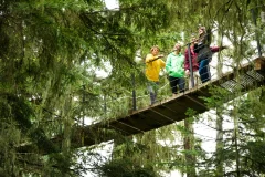 Ziptrek Ecotours