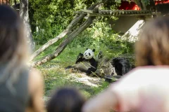 Zoo Aquarium Madrid