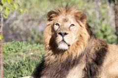 Zoo Aquarium Madrid