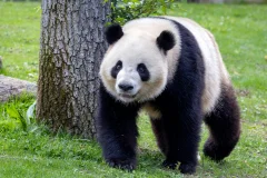 Zoo Aquarium Madrid