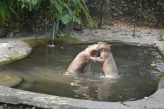 Zoo Negara