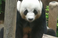 Zoo Negara