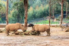 Zoo Santo Inácio