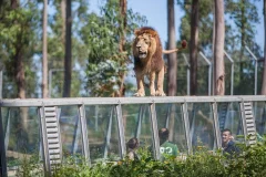 Zoo Santo Inácio