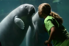 ZooTampa at Lowry Park