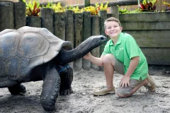 ZooTampa at Lowry Park